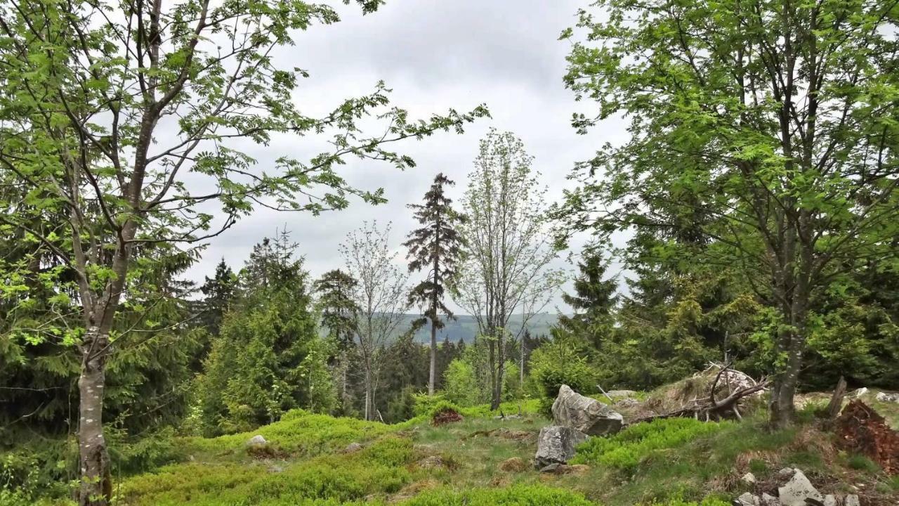 Fewo Algenrodt Idar-Oberstein Exteriér fotografie